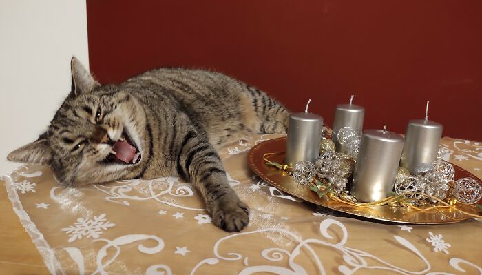 Do Not Touch! It's Mine Now!