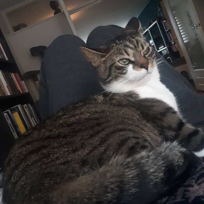 I Accidentally Woke Him Up.