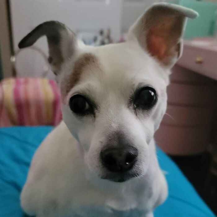 "You Will Give Me Your Lunch"