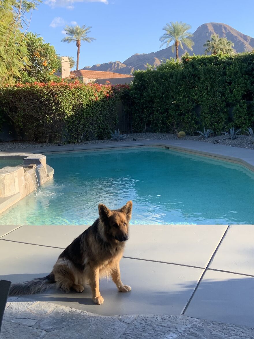 Enzo Is Bored, Why Are We Not Playing?