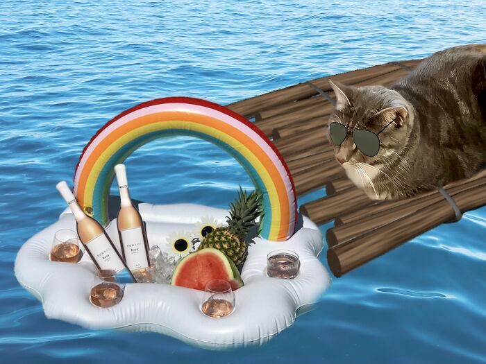 Cool Kitty Relaxing...