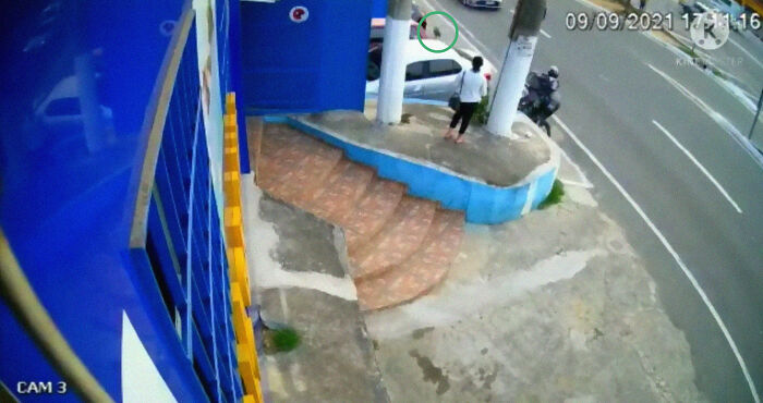 This Dog Dad Waited Outside A Vet Clinic While The Mother Gave Birth To 6 Puppies This Dog Dad Waited Outside A Vet Clinic While The Mother Gave Birth To 6 Puppies