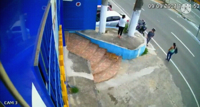 This Dog Dad Waited Outside A Vet Clinic While The Mother Gave Birth To 6 Puppies This Dog Dad Waited Outside A Vet Clinic While The Mother Gave Birth To 6 Puppies