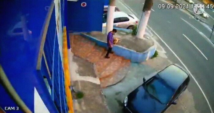 This Dog Dad Waited Outside A Vet Clinic While The Mother Gave Birth To 6 Puppies This Dog Dad Waited Outside A Vet Clinic While The Mother Gave Birth To 6 Puppies