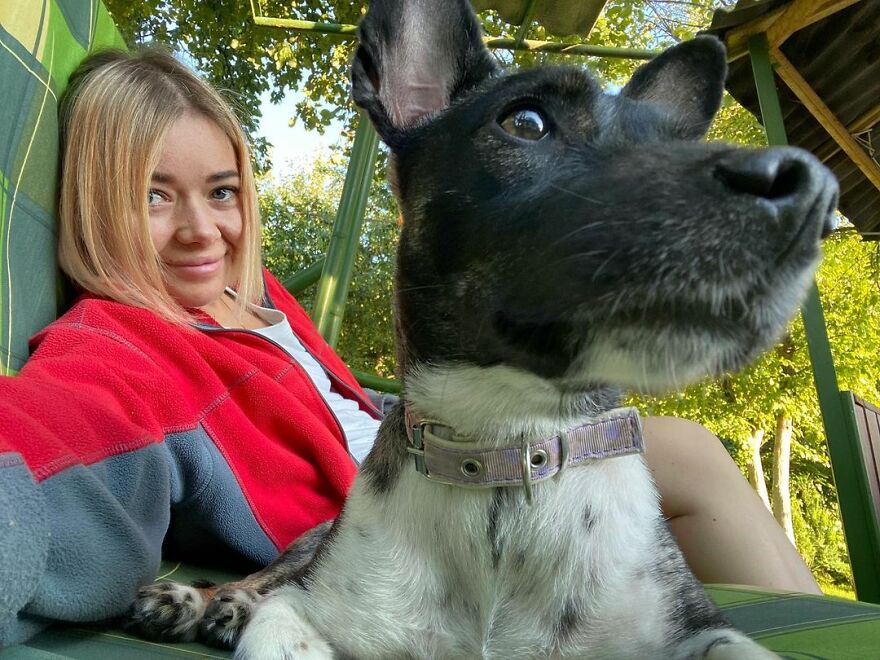 After A Week Of Public Outrage And Volunteer Search Parties, The Dog That Got Lost At The Airport Finally Got Found After A Week Of Public Outrage And Volunteer Search Parties, The Dog That Got Lost At The Airport Finally Got Found