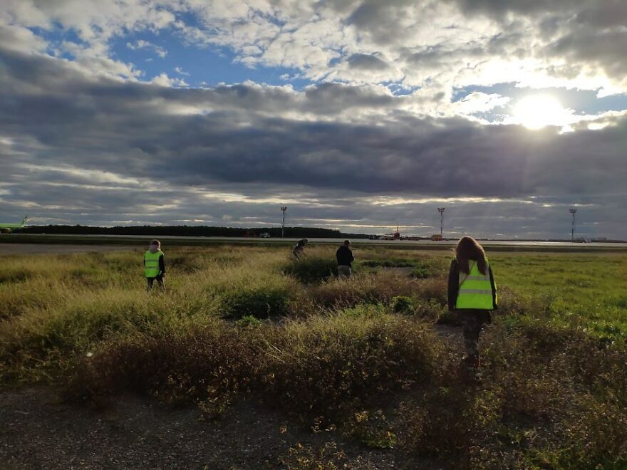 After A Week Of Public Outrage And Volunteer Search Parties, The Dog That Got Lost At The Airport Finally Got Found After A Week Of Public Outrage And Volunteer Search Parties, The Dog That Got Lost At The Airport Finally Got Found