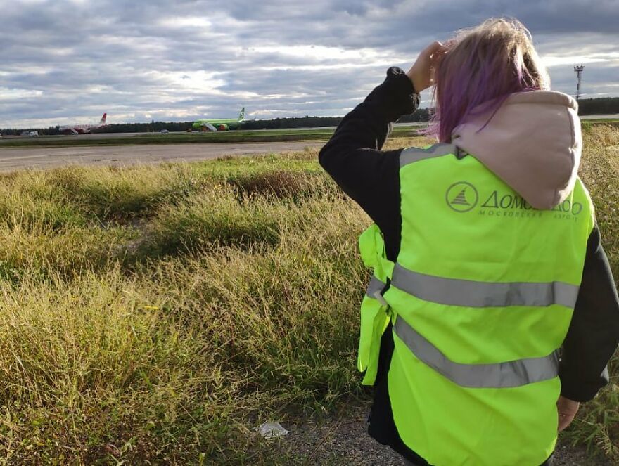 After A Week Of Public Outrage And Volunteer Search Parties, The Dog That Got Lost At The Airport Finally Got Found After A Week Of Public Outrage And Volunteer Search Parties, The Dog That Got Lost At The Airport Finally Got Found