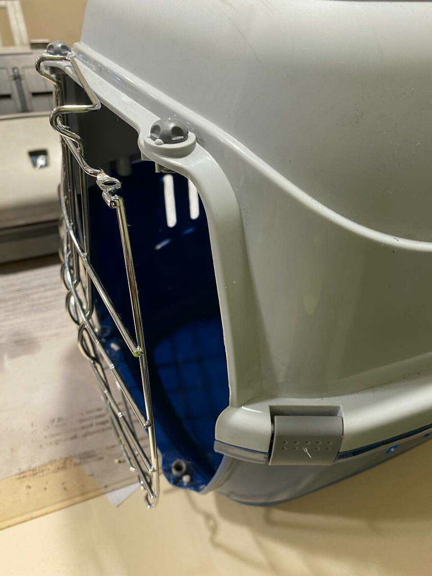 After A Week Of Public Outrage And Volunteer Search Parties, The Dog That Got Lost At The Airport Finally Got Found After A Week Of Public Outrage And Volunteer Search Parties, The Dog That Got Lost At The Airport Finally Got Found