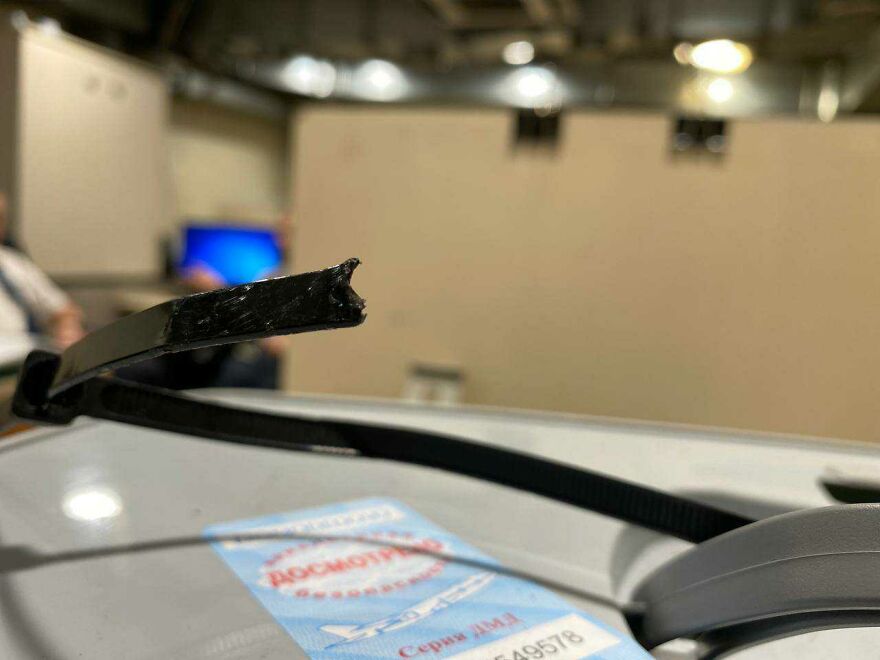 After A Week Of Public Outrage And Volunteer Search Parties, The Dog That Got Lost At The Airport Finally Got Found After A Week Of Public Outrage And Volunteer Search Parties, The Dog That Got Lost At The Airport Finally Got Found