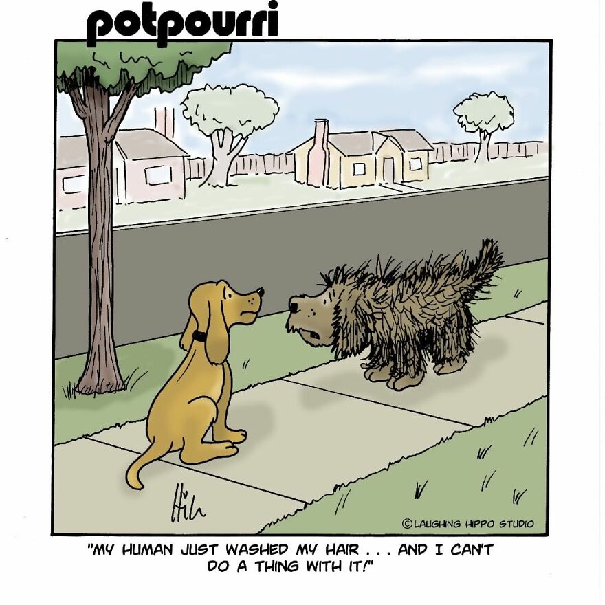 Laugh At The Short Jokes Of "Laughing Hippo Studios"