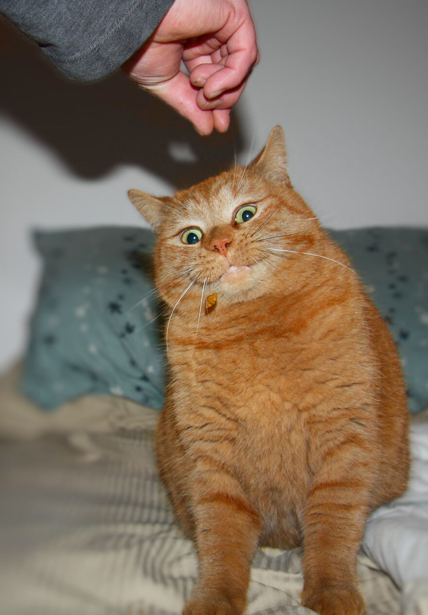 Didn't Quite Catch It...