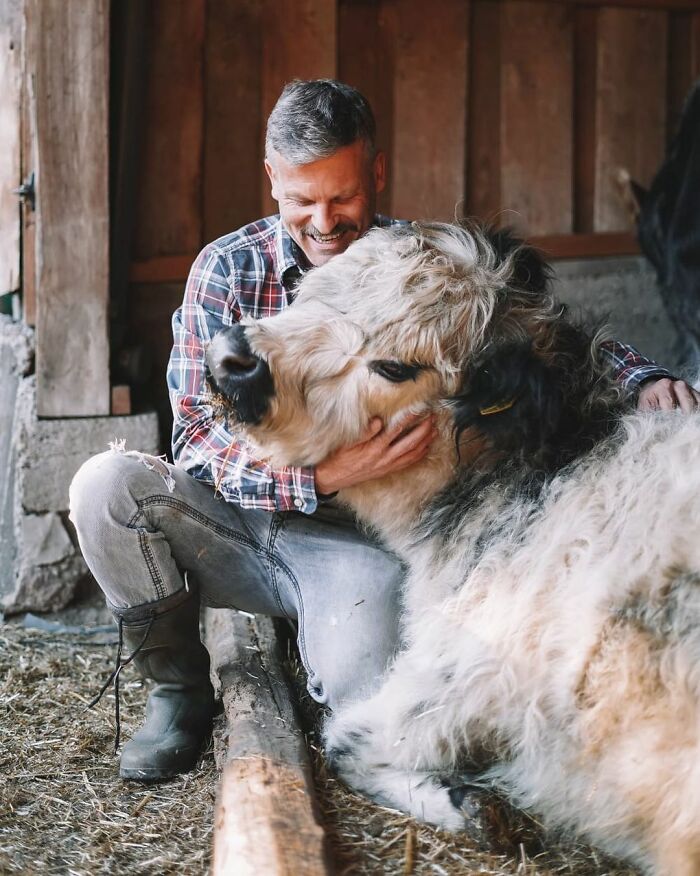 Farm Animals Are Not Just Food And This Man Proves That