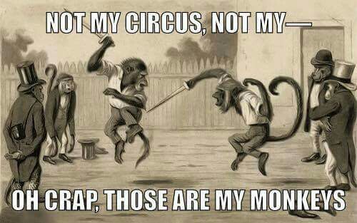 Not-my-circus-613a667f0cbd0.jpg