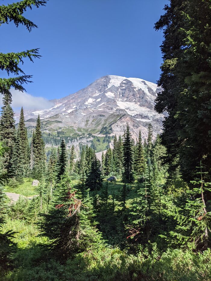 Mount Rainier