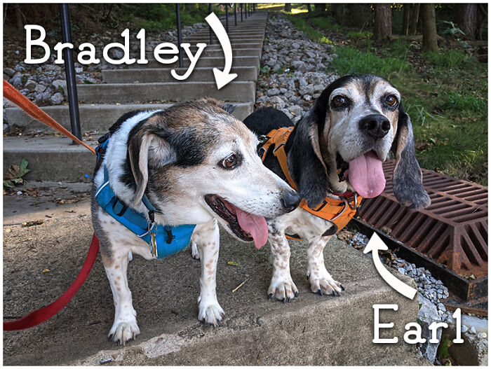 My Best Friends, Bradley (10-Ish) And Earl (13-Ish)