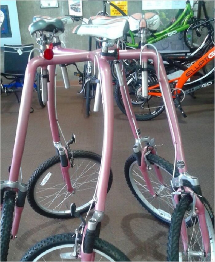 Will It Go Round In Circles? Will It Fly High Like A Bird Up In The Sky?