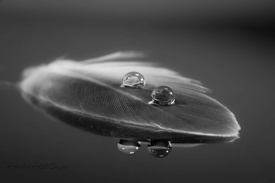 Photographer Makes Amazing Images Using Water Drops