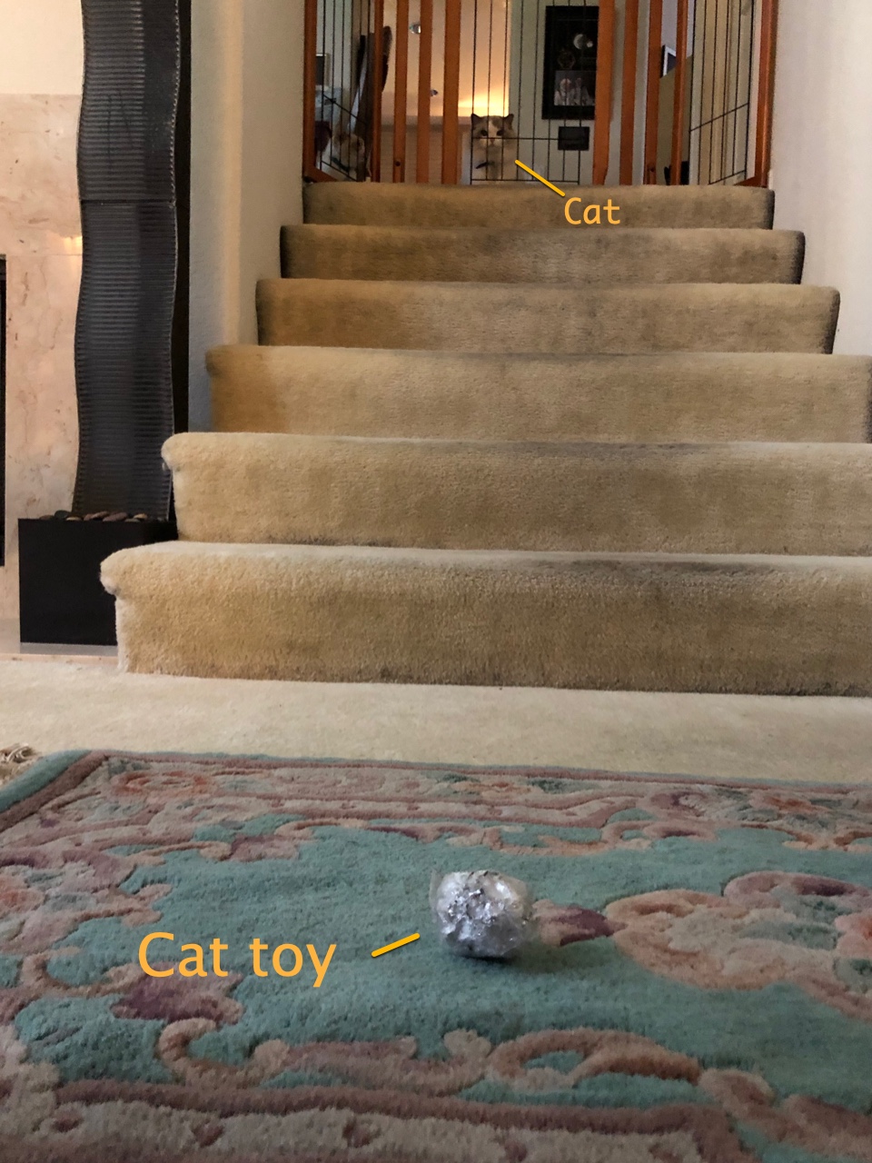 Pictures Of Cat That Looked Like They Were Staged, But Aren’t