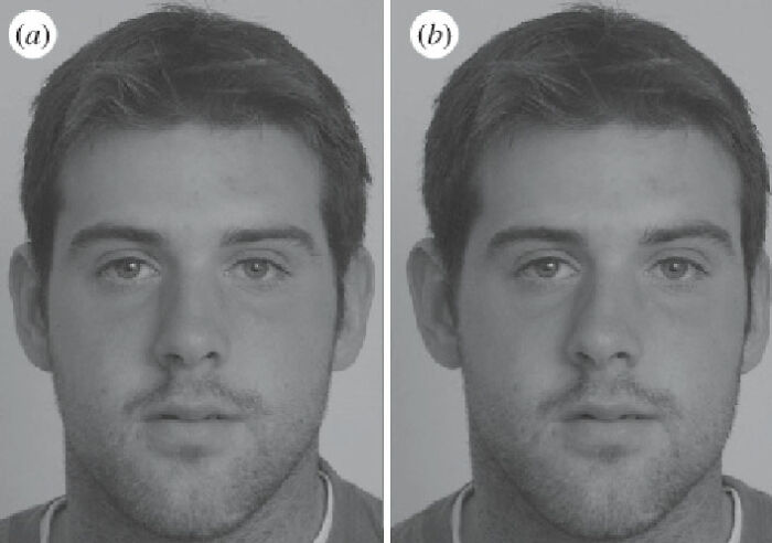 Guy On Tiktok Explains What Straight People Find Attractive In The Opposite Sex Using Evolutionary Theory Guy On Tiktok Explains What Straight People Find Attractive In The Opposite Sex Using Evolutionary Theory