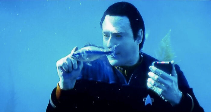 Everyone's Out Here With Cute Images Of Pets, And Here I Am With A Random Pic Of Commander Data Swimming With Fish... I Don't Even Know Why I Have This Saved.
