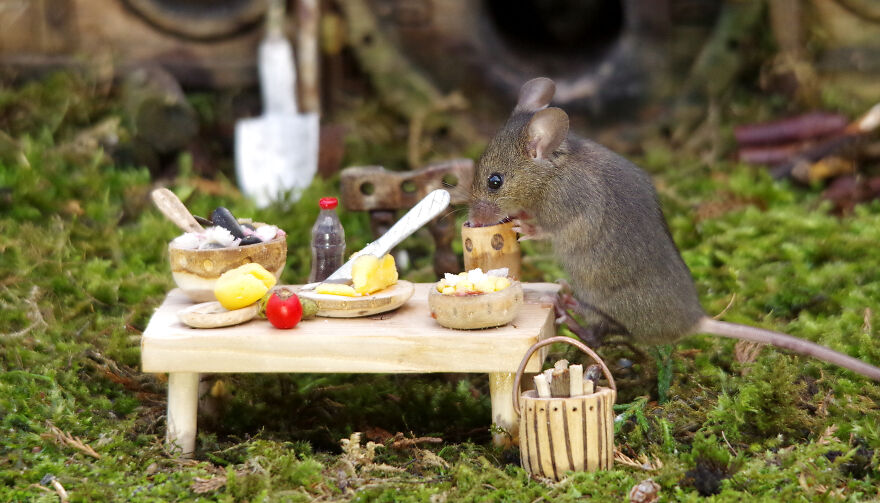 Another Of The Mice Out In The Garden Preparing A Tasty Meal And Enjoying A Mug Of Peanut Butter Beer