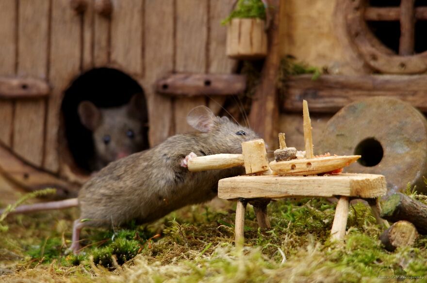Not Every Day You See A Tiny Mouse Making A Tiny Toy Wooden Boat