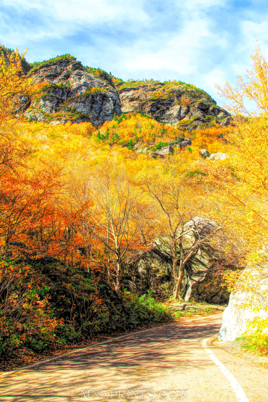 I'm Ready For Fall Photography (4 Pics)