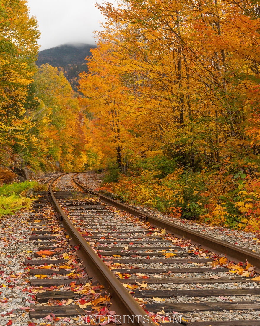 I'm Ready For Fall Photography (4 Pics)