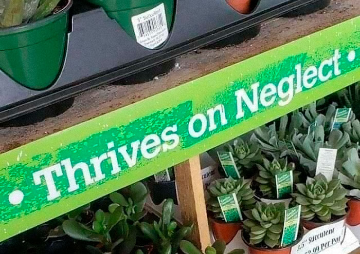 40 Best ‘Ads With Threatening Auras’ Shared On This Hilarious Facebook Group