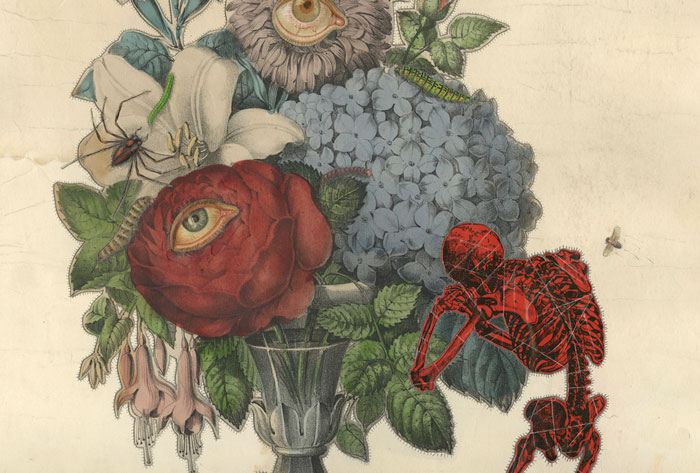Dan Barry’s 26 Unique Collage Works That Include Botanics And Themes Of Mortality