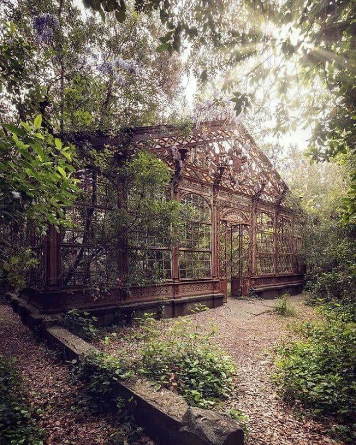 Abandoned 19th Century Greenhouse