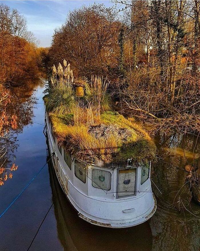 An Overgrown Boat On The River In Europe, Exact Location Unknown