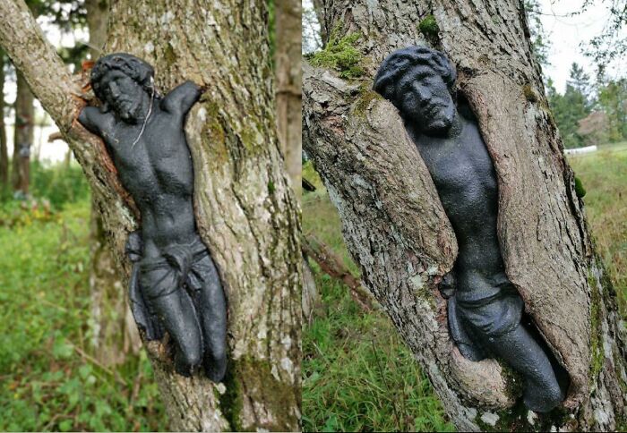 This Sculpture Of Jesus At Abandoned Cemetery In Poland Gets Slowly Absorbed By A Tree