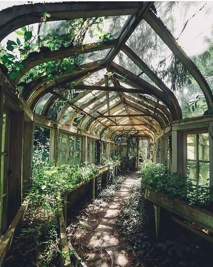 Overgrown Greenhouse In Illinois, United States