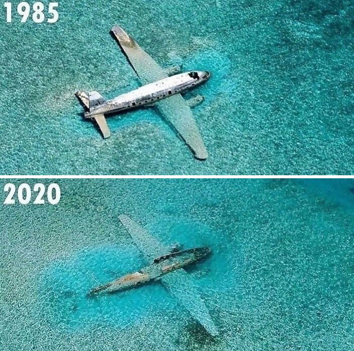 Curtiss C-46 Commando, One Of Pablo Escobar / Carlos Lehder’s Drug Smuggling Planes Near Norman’s Cay In The Bahamas, After 35 Years Submerged In Saltwater