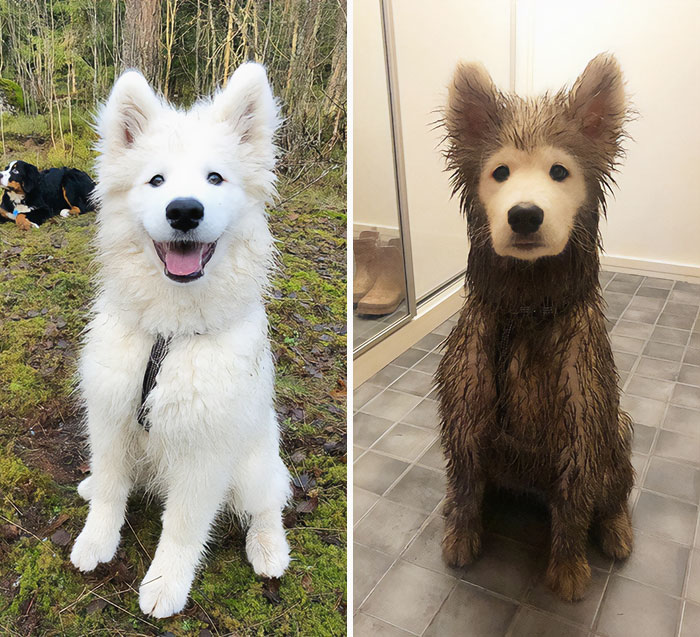 Antes y después del paseo
