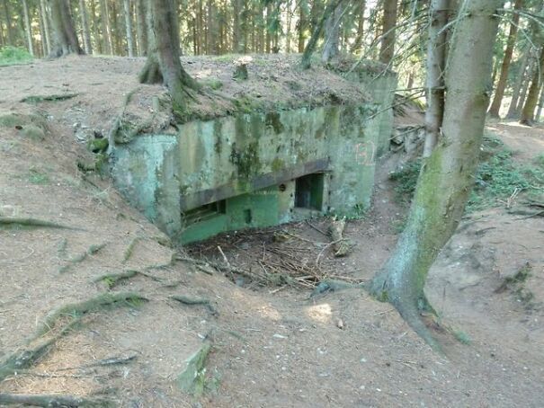 bunker-614a0d2ec3bef.jpg