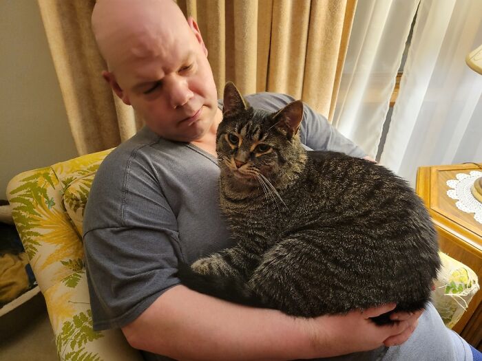 My Cat Gizmo With His Favorite Hooman - My Husband 😐