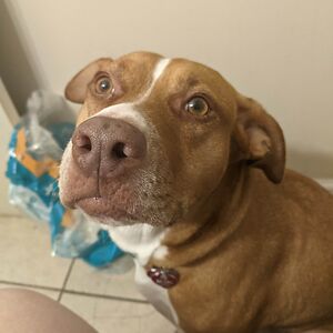 abbottellenjane avatar