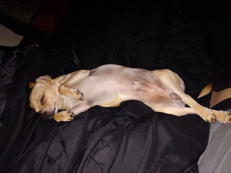 Spikey Being Himself 🥰