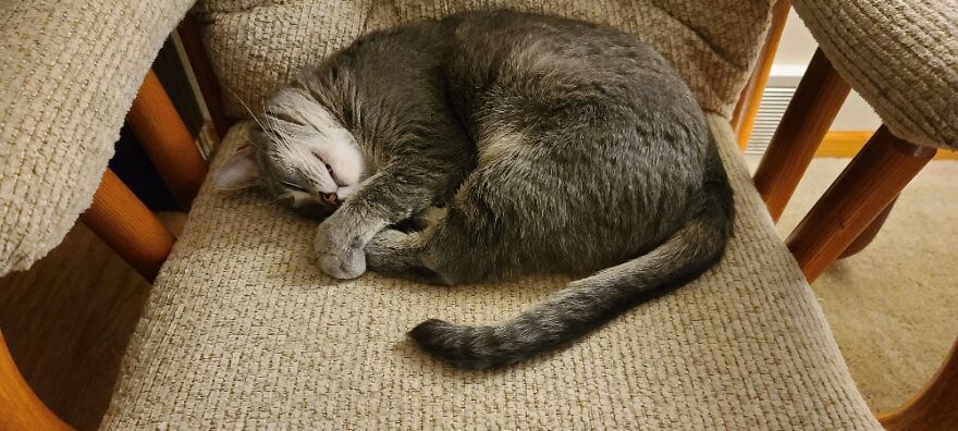 Had Her 2 Years Now.