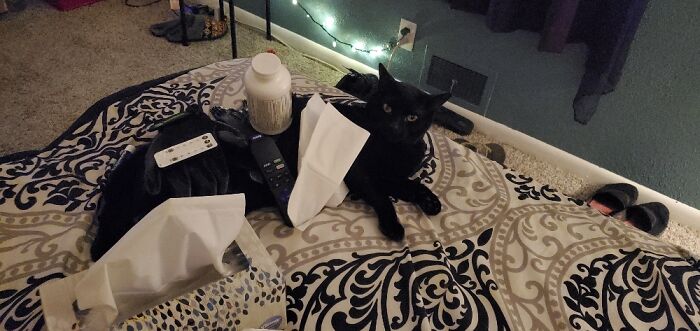 Rosalee Is Not Amused