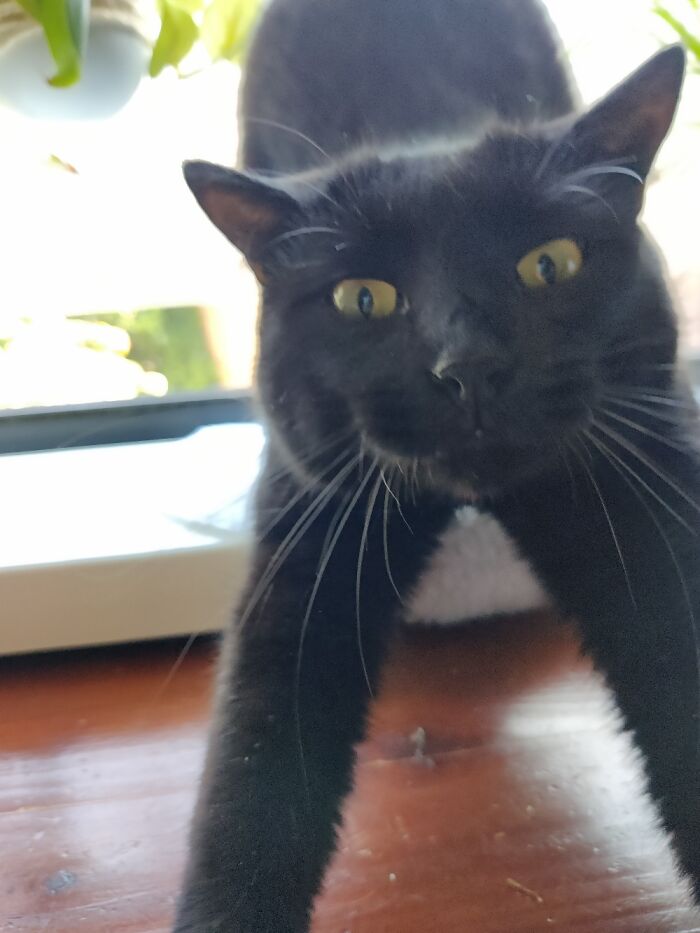 You Just Woke Me Up!