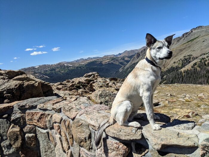 Rocky Mountain National Park. 🐕⛰️