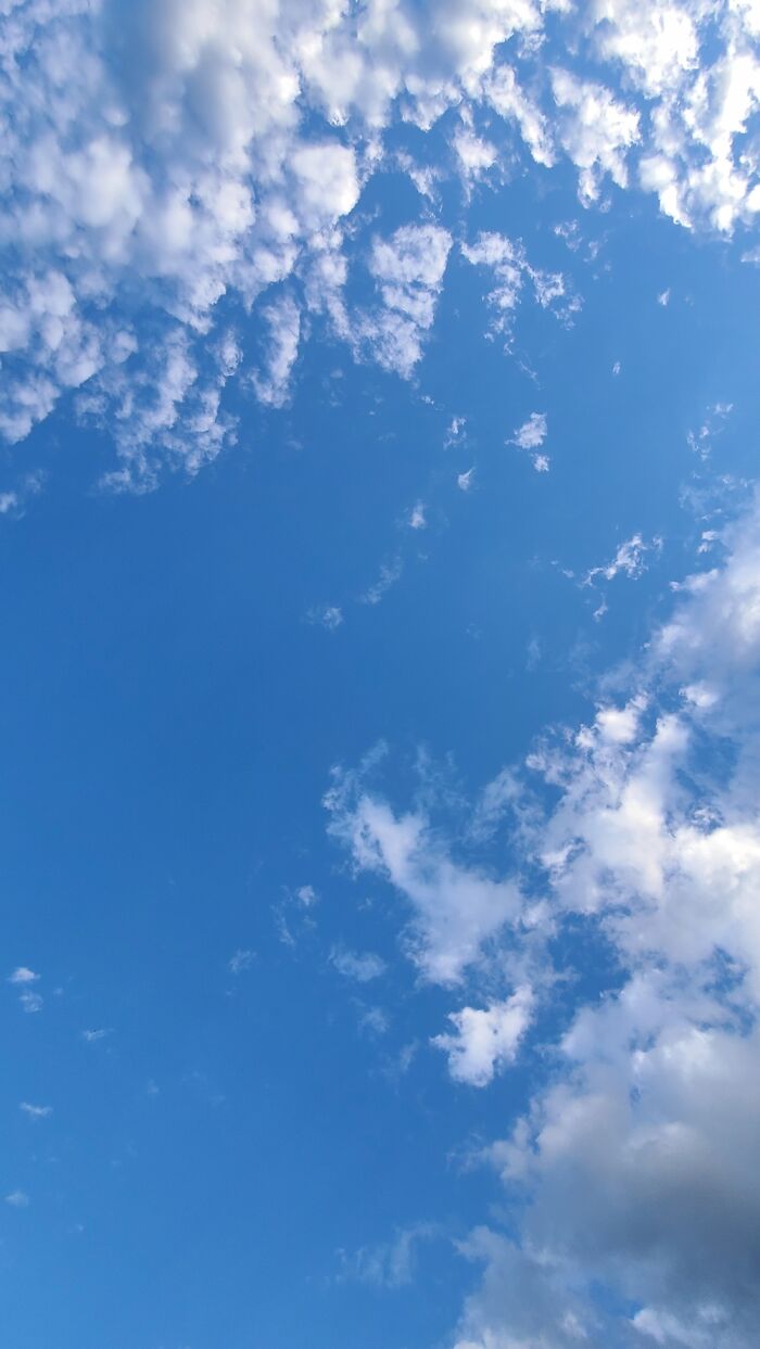 Blue Skies Above