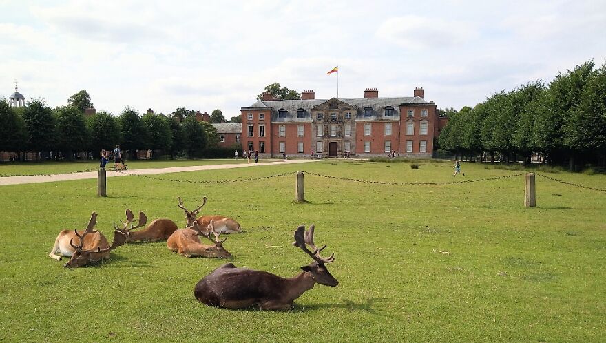 These Guys, Lounging In The Sun At Dunham Massey.