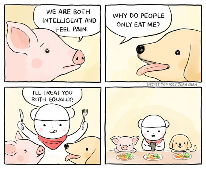 40 Heartbreaking Comics About Animal Abuse And Factory Farming By Joan Chan
