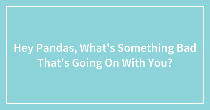 Hey Pandas, What’s Something Bad That’s Going On With You? (Closed)