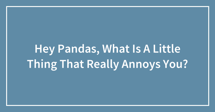 Hey Pandas, What Is A Little Thing That Really Annoys You? (Closed)