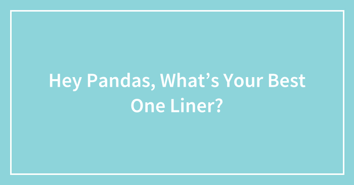 Hey Pandas, What’s Your Best One Liner?